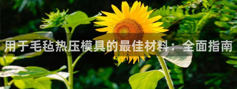 emc易倍ios官网