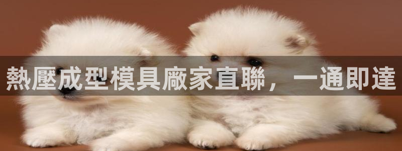 北京易倍思教育怎么样