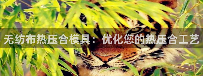 易倍申上市时间