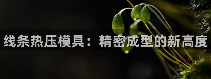 易倍纤瘦身三部曲的价格