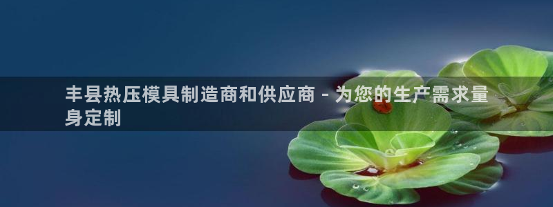emc易倍怎么样