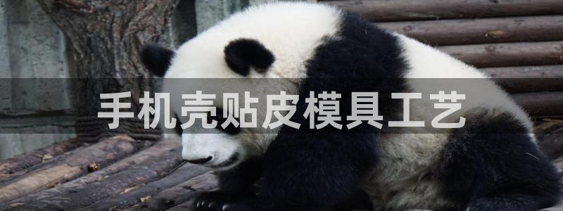 易倍申有用吗