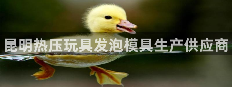 易倍单词平台