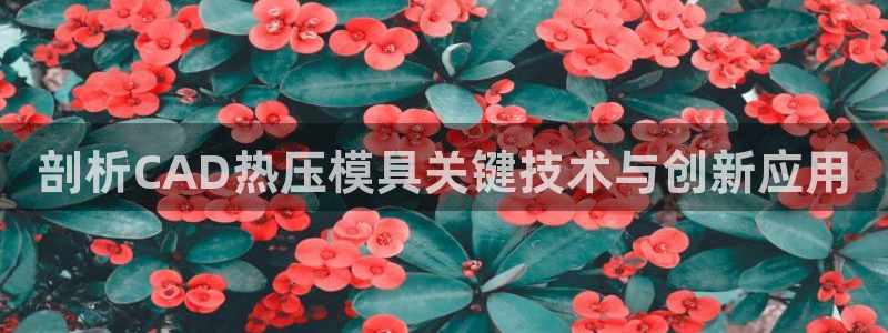 emc服务器是什么