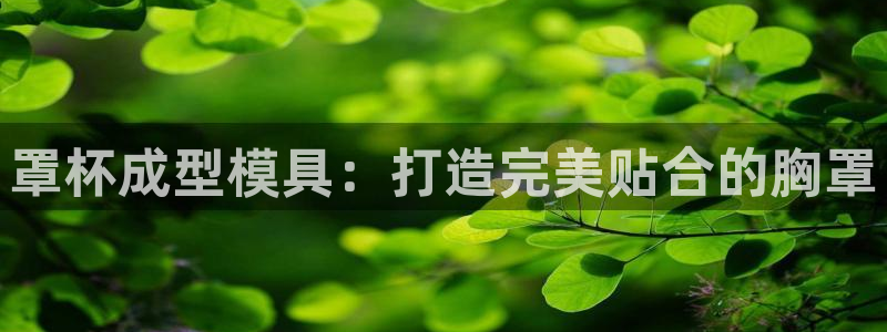 EMC倍频系数