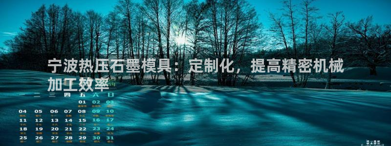 易倍申片说明书