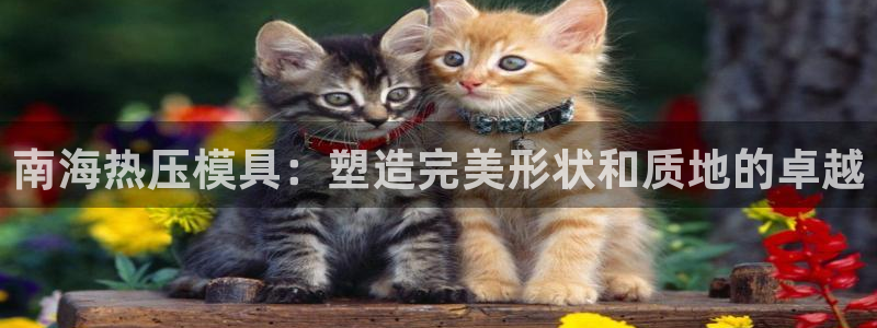 易倍康简历