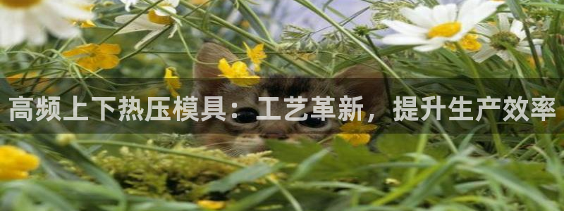 易倍企业管理软件