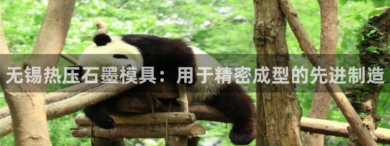 emc易倍穆里尼奥