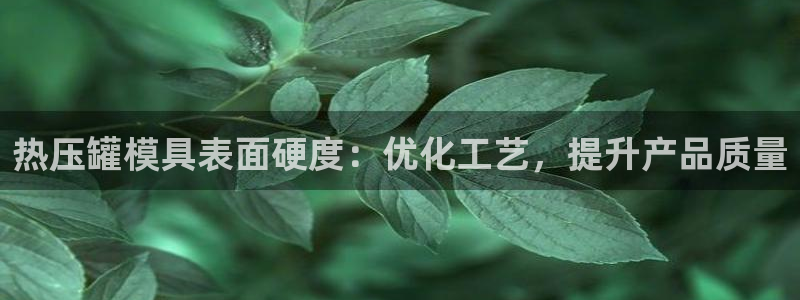 易倍企业管理软件