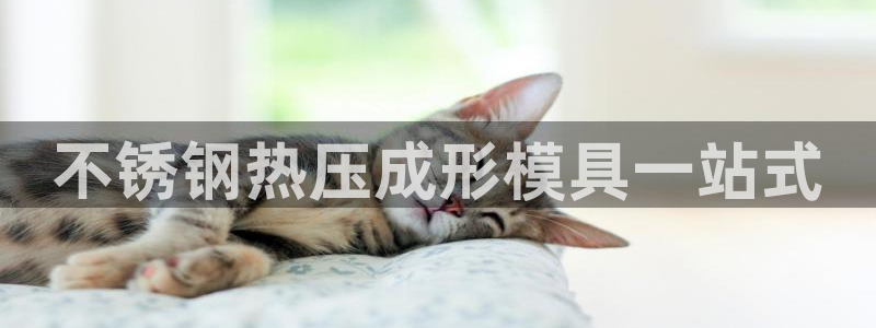 易倍易倍单词官方网站：不锈钢热压成形模具一站式