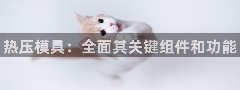 易倍纤减肥反弹不