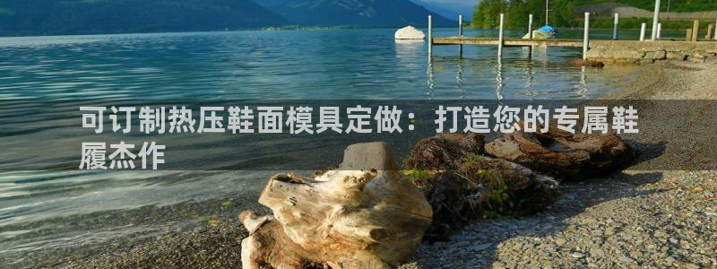 易倍英语官方网站登录：可订制热压鞋面模具定做：打造您的专
