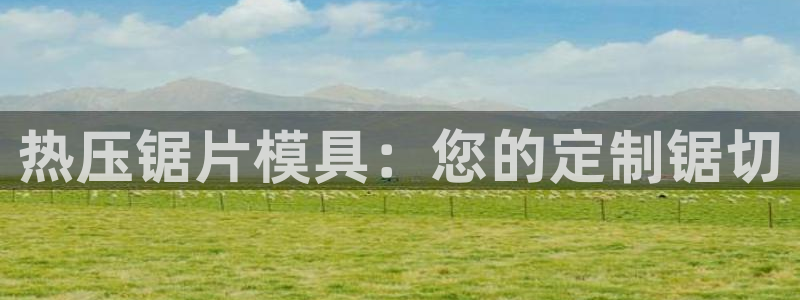EMC倍频是什么意思：热压锯片模具：您的定制锯切