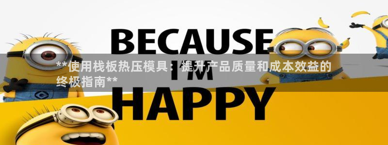 杭州易倍达科技有限公司怎么样：**使用栈板热压模具：提升