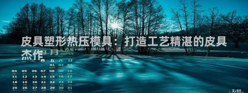 易倍app官网下载：皮具塑形热压模具：打造工艺精湛的皮具