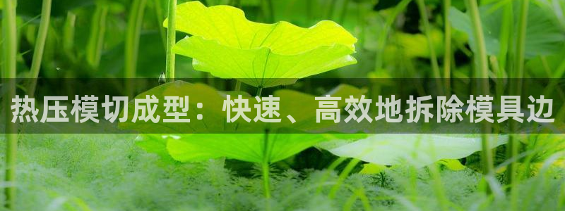 emc全站下载：热压模切成型：快速、高效地拆除模具边