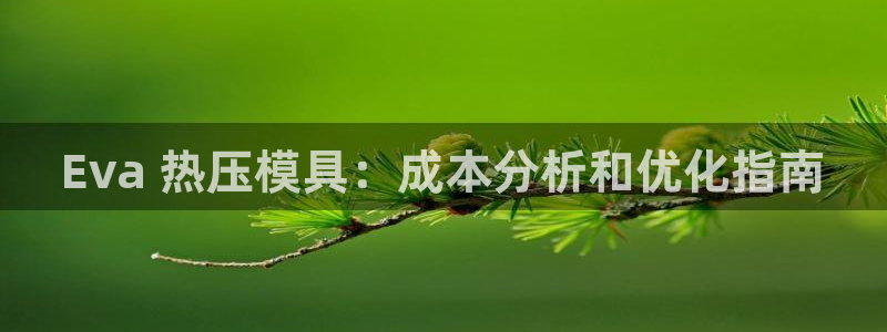 EMC易倍官网招聘：Eva 热压模具：成本分析和优化指南