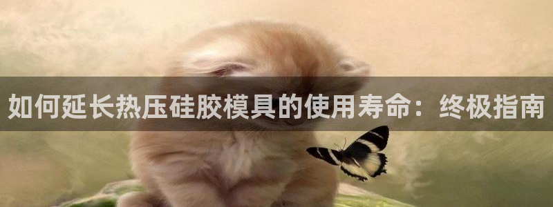 emc app下载：如何延长热压硅胶模具的使用寿命：终极