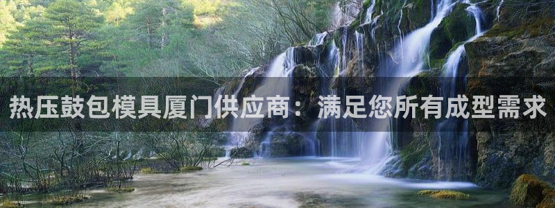 emc32软件安装：热压鼓包模具厦门供应商：满足您所有成