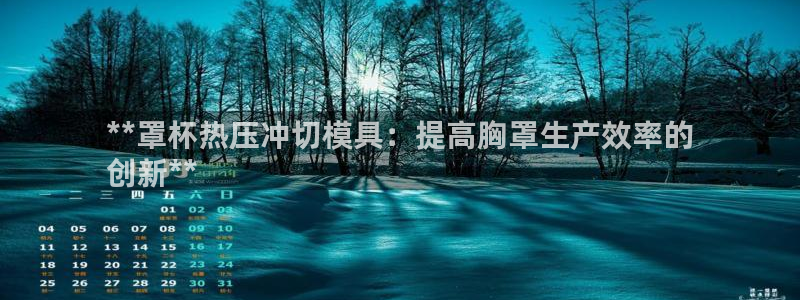 易倍申片说明书：**罩杯热压冲切模具：提高胸罩生产效率的