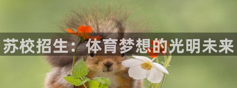 中欧体育网站