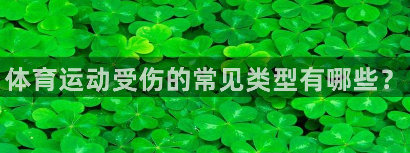 zoty中欧体育平台