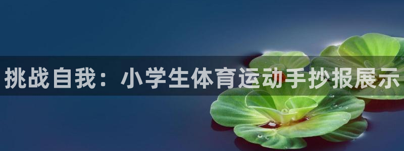 kok中欧体育登录