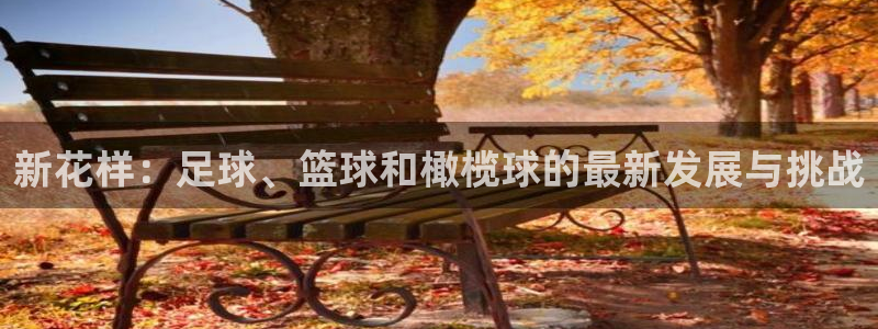 中欧体育李勇鸿