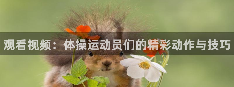 kok新版中欧体育