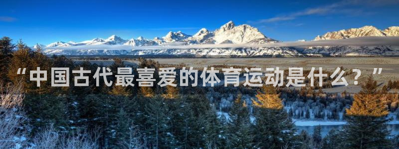 中欧体育官网