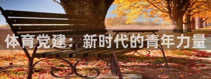中欧体育网页版
