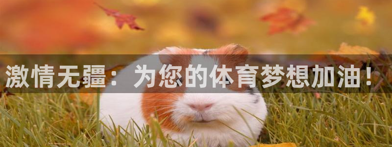 中欧体育