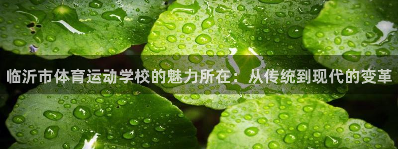 中欧体育在线