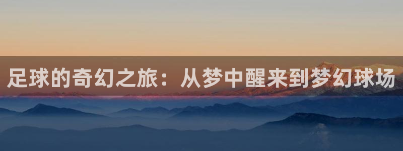 中欧体育集团