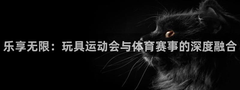 中欧体育最新地址