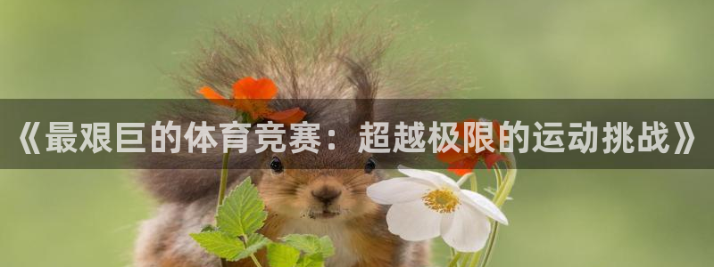 中欧体育zoty下载
