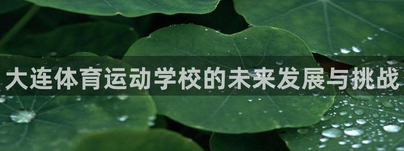 kok中欧体育登录