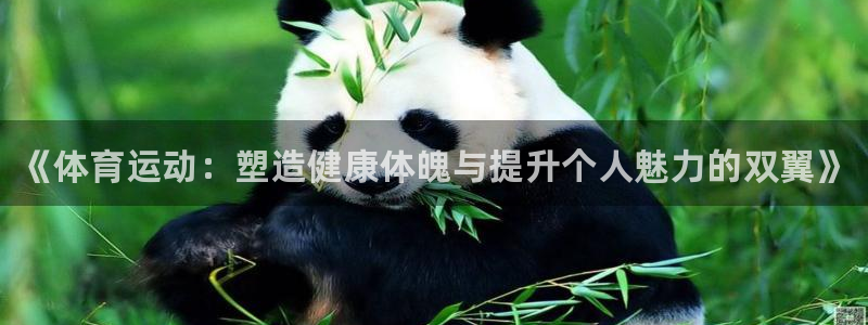 kok中欧体育登录