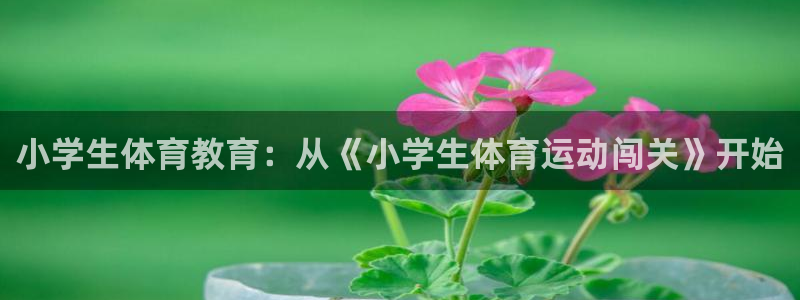 中欧体育(zoty)官网