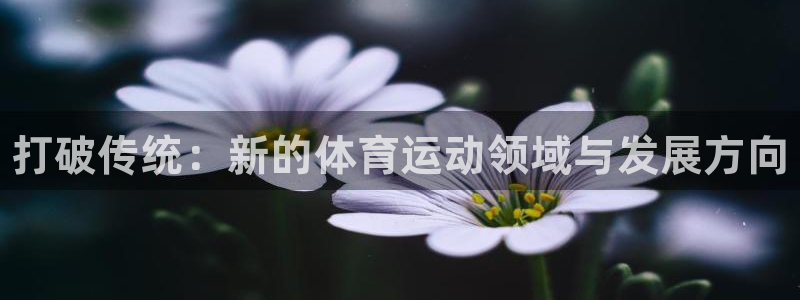 中欧体育网站