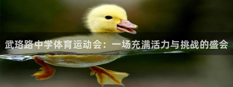 中欧体育ios