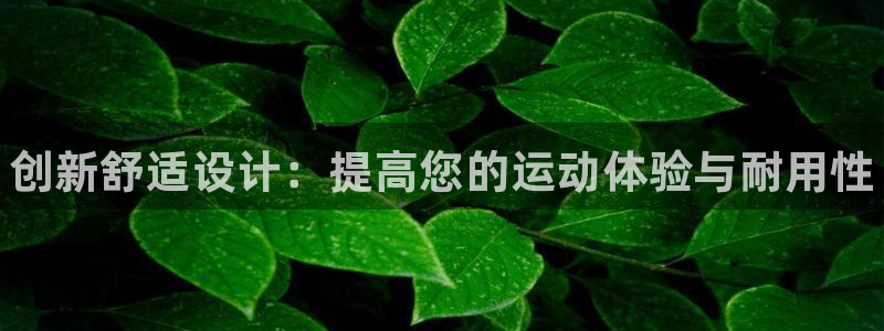 中欧体育官网