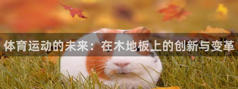 中欧体育kok官网首页