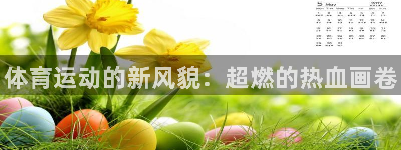 中欧体育网页登录