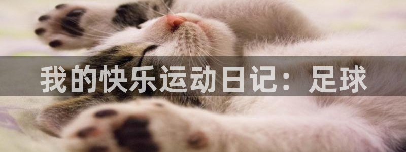 zoty中欧体育平台