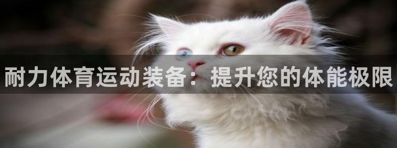 中欧体育全站app