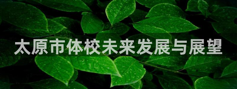 kok中欧体育登录
