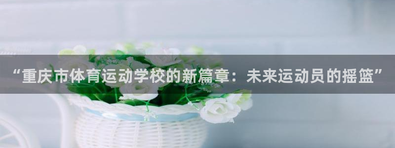 中欧体育ac米兰