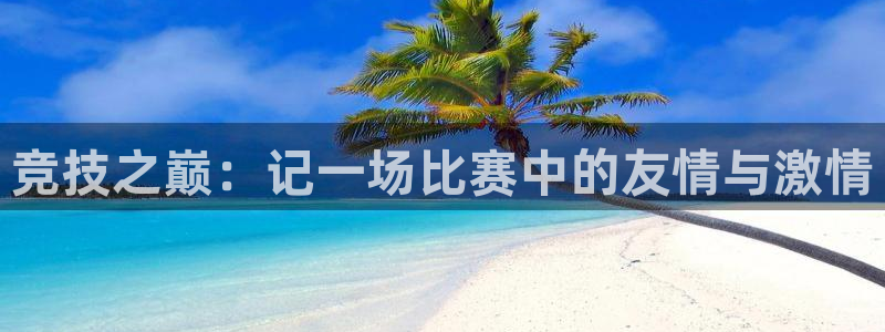 zoty中欧体育平台